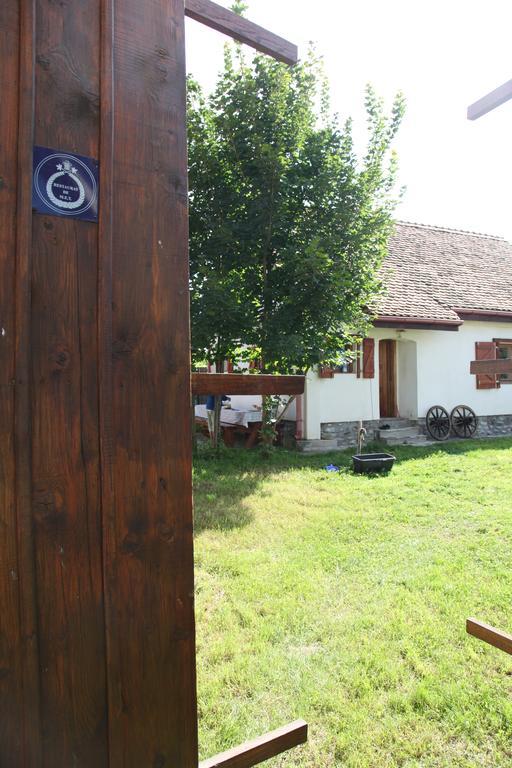 La Mosu Villa Porumbacu de Sus Ngoại thất bức ảnh