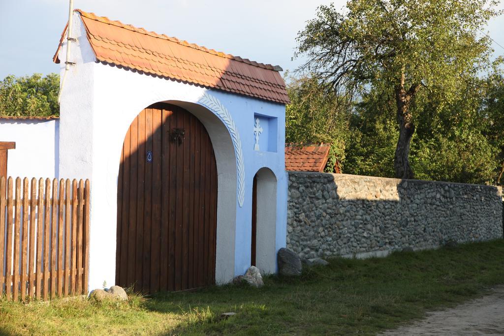 La Mosu Villa Porumbacu de Sus Ngoại thất bức ảnh